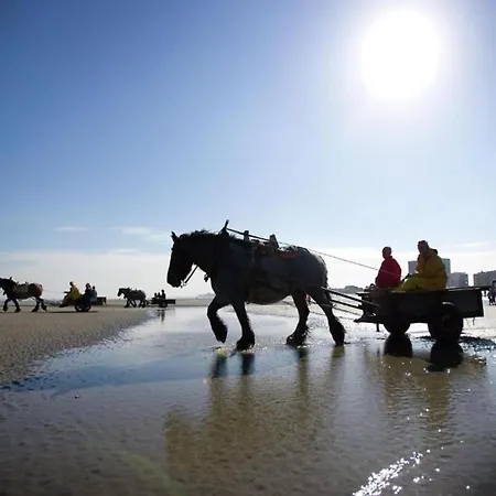 In For 5 Persons, Cleaning Included * Nieuwpoort